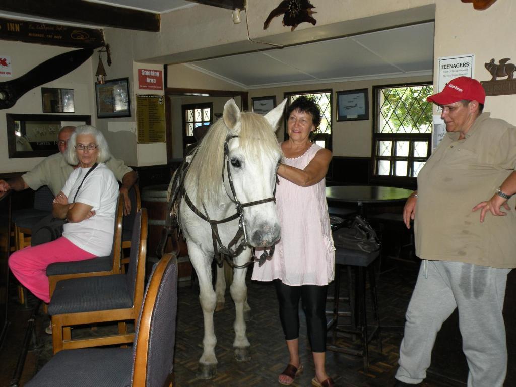 The Historic Pig And Whistle Inn Bathurst Εξωτερικό φωτογραφία